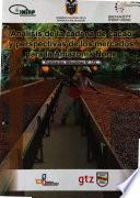 Analisis de la cadena de cacao y perspectivas de los mercados para la Amazonia Norte