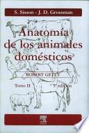 Anatomía de los animales domésticos