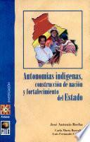 Autonomías indígenas, construcción de nación y fortalecimiento del Estado