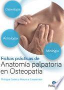 Fichas prácticas de anatomía palpatoria en osteopatía (Color)