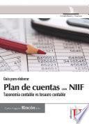 Guía para elaborar plan de cuentas con NIIF