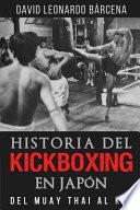 Historia Del Kickboxing en JapÓn